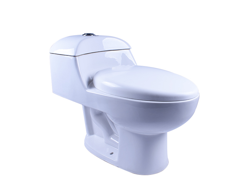  White One-Piece Toilet Dual Flush Elongated Toilet with Slow Down Seat Cover